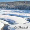 Teton Winter