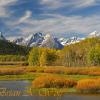 Oxbow Bend