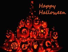 Rose Breasted Grosbeak