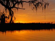 Lake Martin - Louisiana