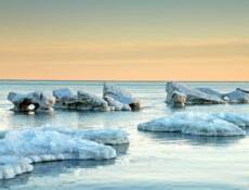 Ice Sculptures - Lake Michigan