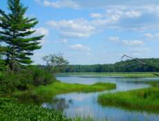 Irving Lake