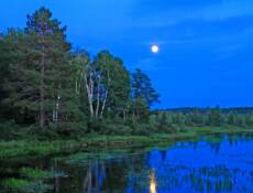 Moonlit Lake