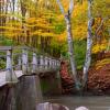 Petrifying Springs - Kenosha, WI