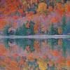 Lime Pond Reflections