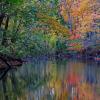 Petrifying Springs Reflections