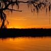 Cypress Sunset - Lake Martin