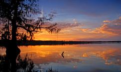 Lake Martin - Louisiana