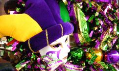 Mardi Gras Mask