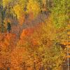Colors of the Gunflint Trail
