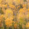 Gunflint Trail Hillside