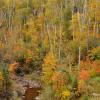 Palisade Creek - Full viewing the full collection of MN fall colors select the Fall Colors/Scenery link and select Minnesota.