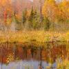 Pond On Gunflint Trail - Full viewing the full collection of MN fall colors select the Fall Colors/Scenery link and select Minnesota.