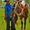 A Cowboy and His Horse