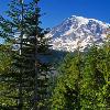 Mount Rainier