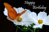 Nature Birthday Cards