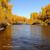 November - Gunnison River, CO