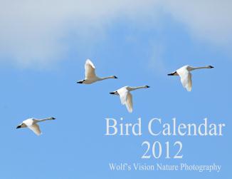 Bird Calendar