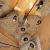 February - Cliff Swallows