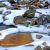 December -Great Smokey Mountain