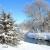 January -Tomah