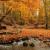 November - Kenosha