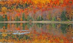 Lime Pond - New Hampshire