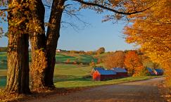 Jenne Farm - Vermont