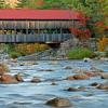 Albany Bridge