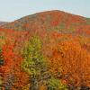 Green Mountains - Vermont