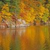 Reflections On Amherst Lake