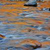 Reflections On The Swift River