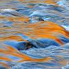 Fall Color Reflections On The Swift River