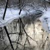 Dobbins Creek - Austin, MN