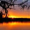 Lake Martin, Louisiana