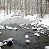 Petrifying Springs, Kenosha