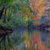 Petrifying Springs Reflections - Kenosha, WI 