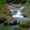 Salmon Cascades