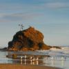 Sea Stack and Gulls