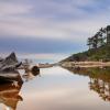 Kalaloch River