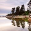 Kalaloch River Near the Ocean