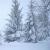 February
Wisconsin