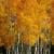 November
Grand Teton National Park - Wyoming