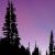 March 
Mount Rainier Natinal Park - Washington