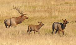 Rocky Mountain National Park