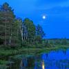 Moonlit Lake