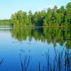 Nebish Lake Reflection