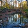 Reflections at Petrifying Springs