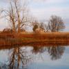 Abandoned Missouri Farmstead