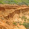 Torrey Pines State Reserve - CA